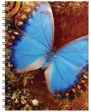 butterfly-journal-by-picadilly